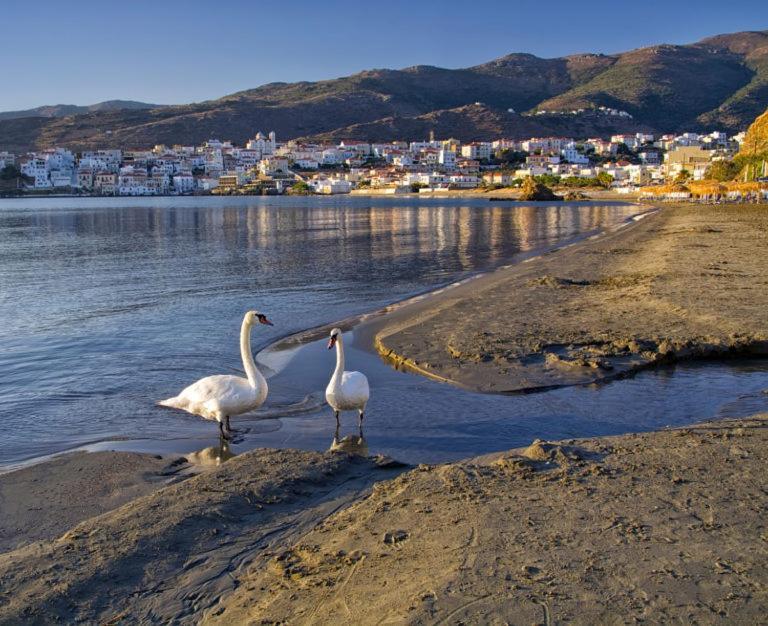 Πλατανακι 2 Seaview Apartment Άνδρος Εξωτερικό φωτογραφία